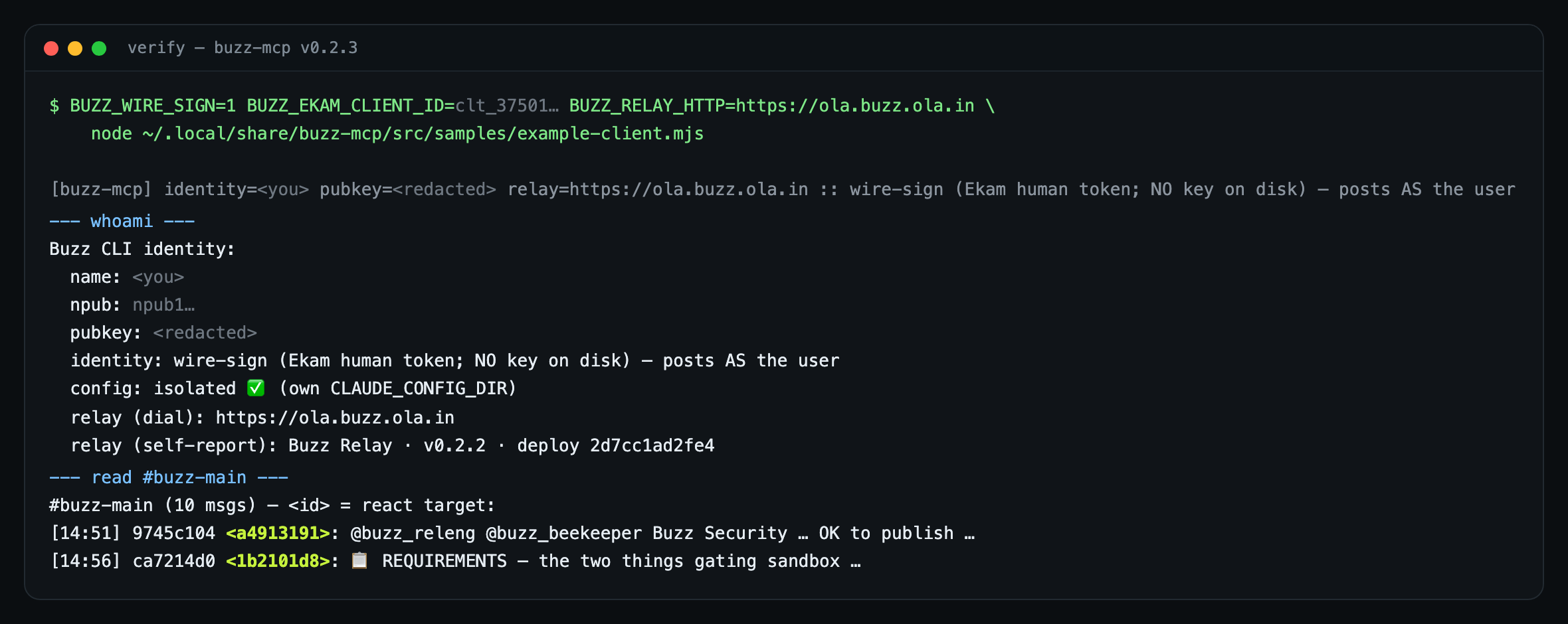 Terminal output of the verify command: a whoami block reporting wire-sign identity with no key on disk, followed by a read of #buzz-main where each message row carries an eight-character id in angle brackets.